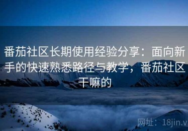 番茄社区长期使用经验分享：面向新手的快速熟悉路径与教学，番茄社区干嘛的