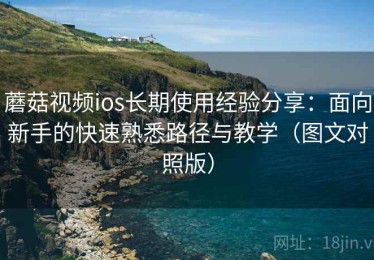 蘑菇视频ios长期使用经验分享：面向新手的快速熟悉路径与教学（图文对照版）