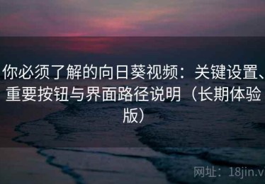 你必须了解的向日葵视频：关键设置、重要按钮与界面路径说明（长期体验版）
