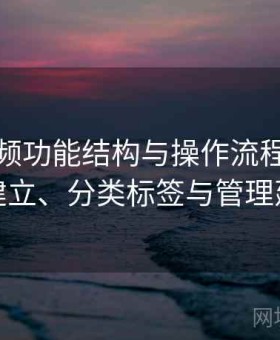 红桃视频功能结构与操作流程：收藏夹建立、分类标签与管理建议