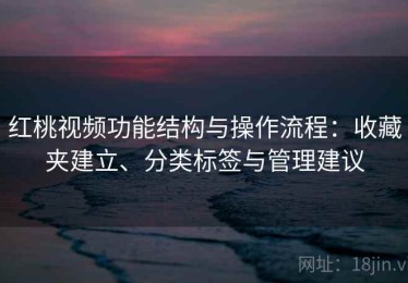 红桃视频功能结构与操作流程：收藏夹建立、分类标签与管理建议