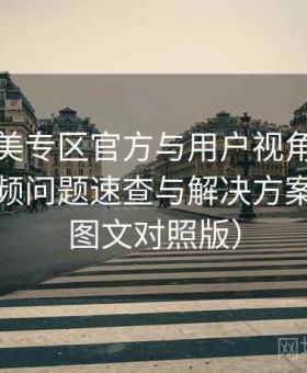 精品欧美专区官方与用户视角双重解析：高频问题速查与解决方案合集（图文对照版）
