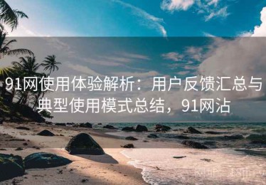 91网使用体验解析：用户反馈汇总与典型使用模式总结，91网沾
