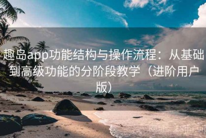 趣岛app功能结构与操作流程：从基础到高级功能的分阶段教学（进阶用户版）