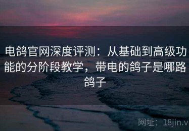 电鸽官网深度评测：从基础到高级功能的分阶段教学，带电的鸽子是哪路鸽子
