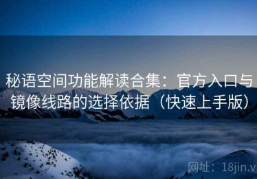 秘语空间功能解读合集：官方入口与镜像线路的选择依据（快速上手版）
