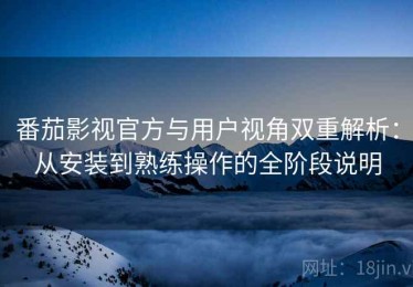 番茄影视官方与用户视角双重解析：从安装到熟练操作的全阶段说明
