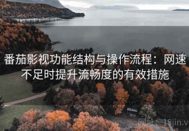 番茄影视功能结构与操作流程：网速不足时提升流畅度的有效措施