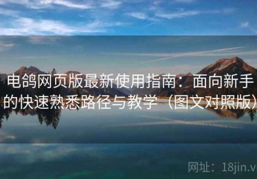 电鸽网页版最新使用指南：面向新手的快速熟悉路径与教学（图文对照版）