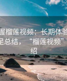 快速掌握榴莲视频：长期体验后的优势与不足总结，“榴莲视频”-详情介绍