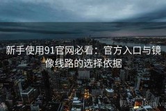新手使用91官网必看：官方入口与镜像线路的选择依据