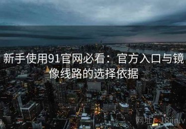 新手使用91官网必看：官方入口与镜像线路的选择依据