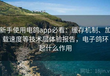 新手使用电鸽app必看：缓存机制、加载速度等技术层体验报告，电子鸽环起什么作用