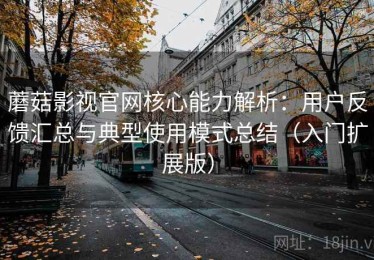 蘑菇影视官网核心能力解析：用户反馈汇总与典型使用模式总结（入门扩展版）