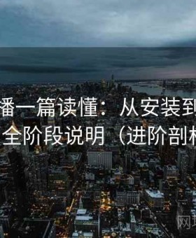 伊人直播一篇读懂：从安装到熟练操作的全阶段说明（进阶剖析版）
