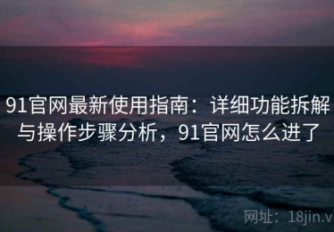 91官网最新使用指南：详细功能拆解与操作步骤分析，91官网怎么进了