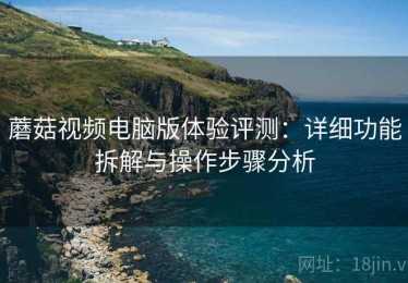 蘑菇视频电脑版体验评测：详细功能拆解与操作步骤分析