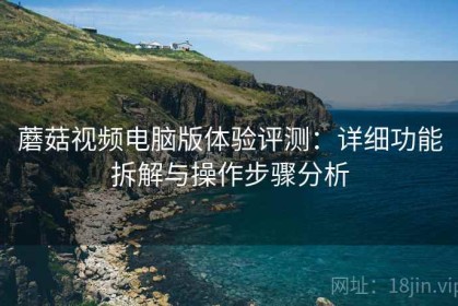 蘑菇视频电脑版体验评测：详细功能拆解与操作步骤分析