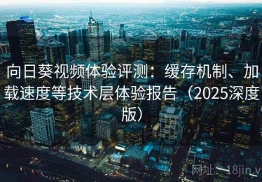 向日葵视频体验评测：缓存机制、加载速度等技术层体验报告（2025深度版）