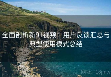 全面剖析新91视频：用户反馈汇总与典型使用模式总结