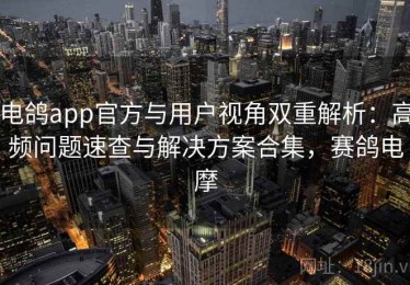 电鸽app官方与用户视角双重解析：高频问题速查与解决方案合集，赛鸽电摩