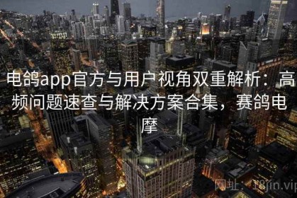 电鸽app官方与用户视角双重解析：高频问题速查与解决方案合集，赛鸽电摩