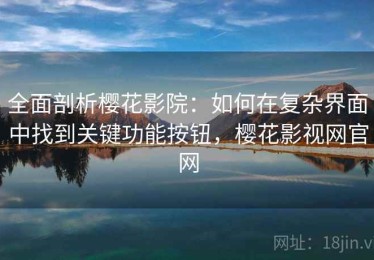 全面剖析樱花影院：如何在复杂界面中找到关键功能按钮，樱花影视网官网