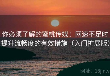 你必须了解的蜜桃传媒：网速不足时提升流畅度的有效措施（入门扩展版）