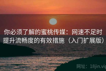 你必须了解的蜜桃传媒：网速不足时提升流畅度的有效措施（入门扩展版）