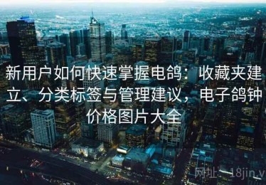 新用户如何快速掌握电鸽：收藏夹建立、分类标签与管理建议，电子鸽钟价格图片大全