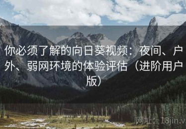 你必须了解的向日葵视频：夜间、户外、弱网环境的体验评估（进阶用户版）