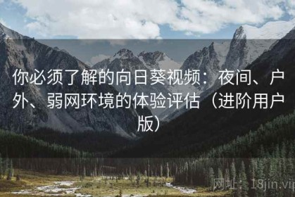 你必须了解的向日葵视频：夜间、户外、弱网环境的体验评估（进阶用户版）
