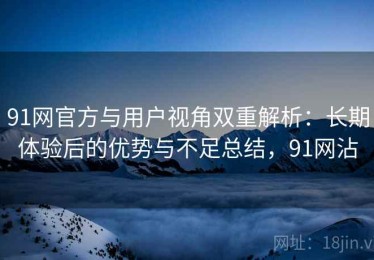 91网官方与用户视角双重解析：长期体验后的优势与不足总结，91网沾