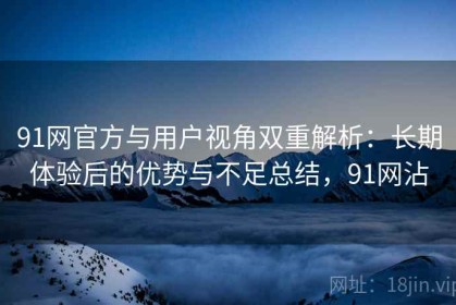 91网官方与用户视角双重解析：长期体验后的优势与不足总结，91网沾