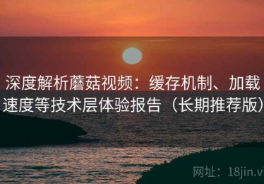 深度解析蘑菇视频：缓存机制、加载速度等技术层体验报告（长期推荐版）