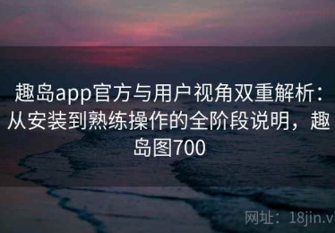 趣岛app官方与用户视角双重解析：从安装到熟练操作的全阶段说明，趣岛图700