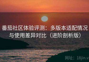 番茄社区体验评测：多版本适配情况与使用差异对比（进阶剖析版）