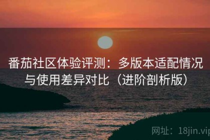 番茄社区体验评测：多版本适配情况与使用差异对比（进阶剖析版）