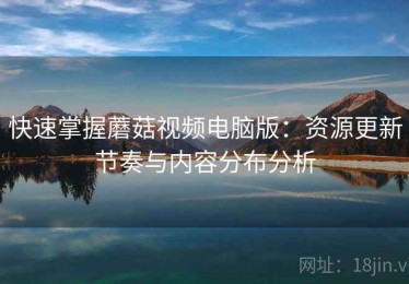快速掌握蘑菇视频电脑版：资源更新节奏与内容分布分析