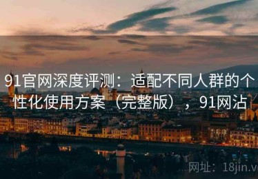 91官网深度评测：适配不同人群的个性化使用方案（完整版），91网沾