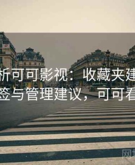 全面剖析可可影视：收藏夹建立、分类标签与管理建议，可可看电影