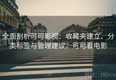 全面剖析可可影视：收藏夹建立、分类标签与管理建议，可可看电影