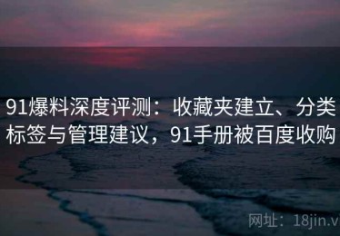 91爆料深度评测：收藏夹建立、分类标签与管理建议，91手册被百度收购