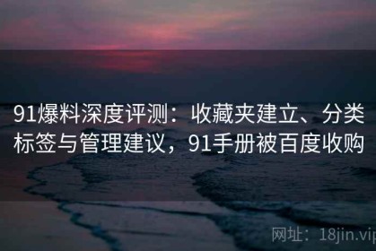 91爆料深度评测：收藏夹建立、分类标签与管理建议，91手册被百度收购