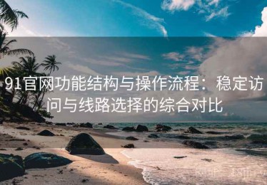 91官网功能结构与操作流程：稳定访问与线路选择的综合对比
