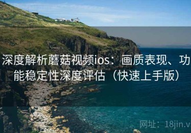 深度解析蘑菇视频ios：画质表现、功能稳定性深度评估（快速上手版）
