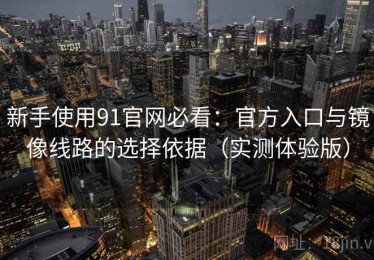 新手使用91官网必看：官方入口与镜像线路的选择依据（实测体验版）