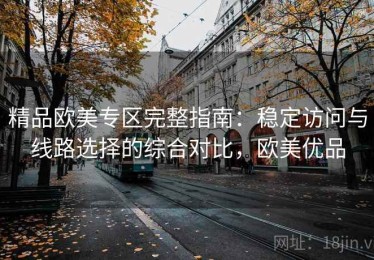 精品欧美专区完整指南：稳定访问与线路选择的综合对比，欧美优品