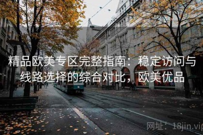 精品欧美专区完整指南：稳定访问与线路选择的综合对比，欧美优品