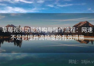 草莓视频功能结构与操作流程：网速不足时提升流畅度的有效措施